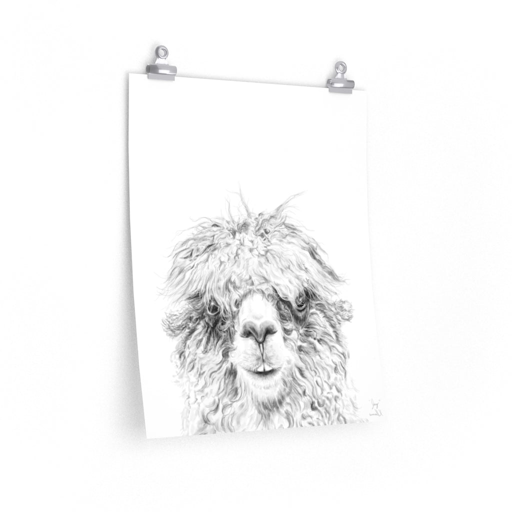 JAY Llama- Art Paper Print