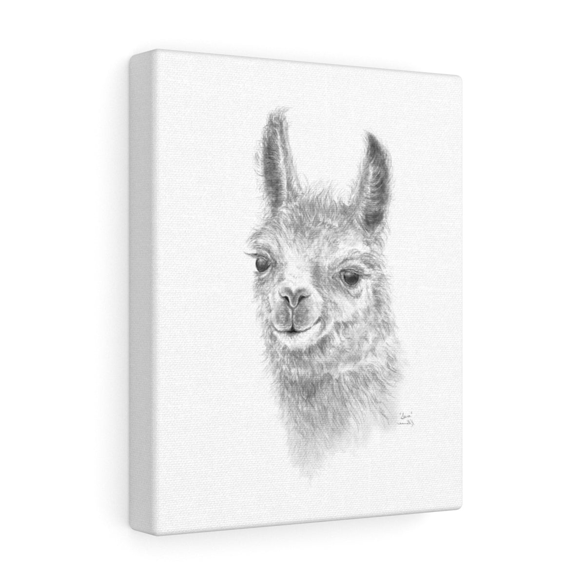 SARA Llama - Art Canvas