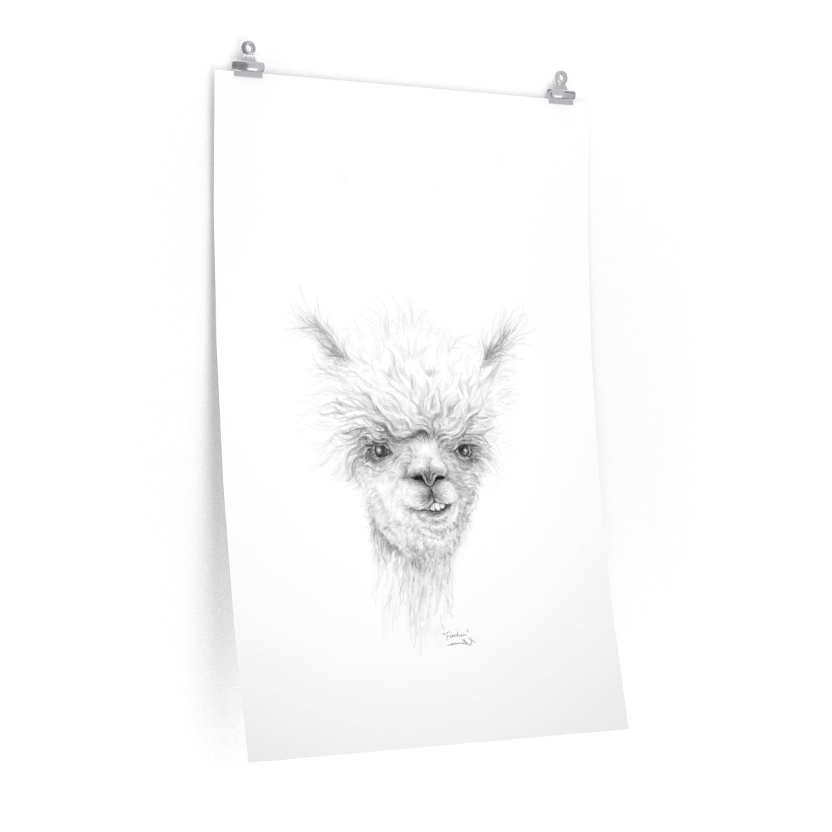 FISCHER Llama- Art Paper Print