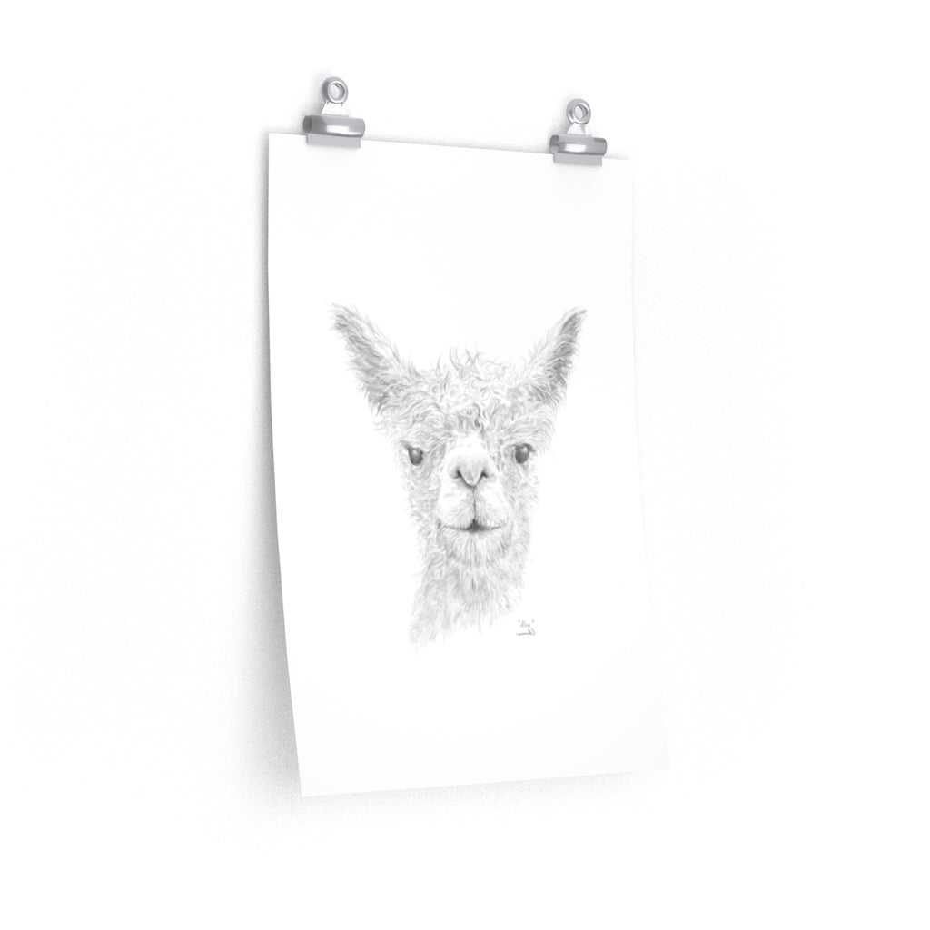 Alex Llama- Art Paper Print