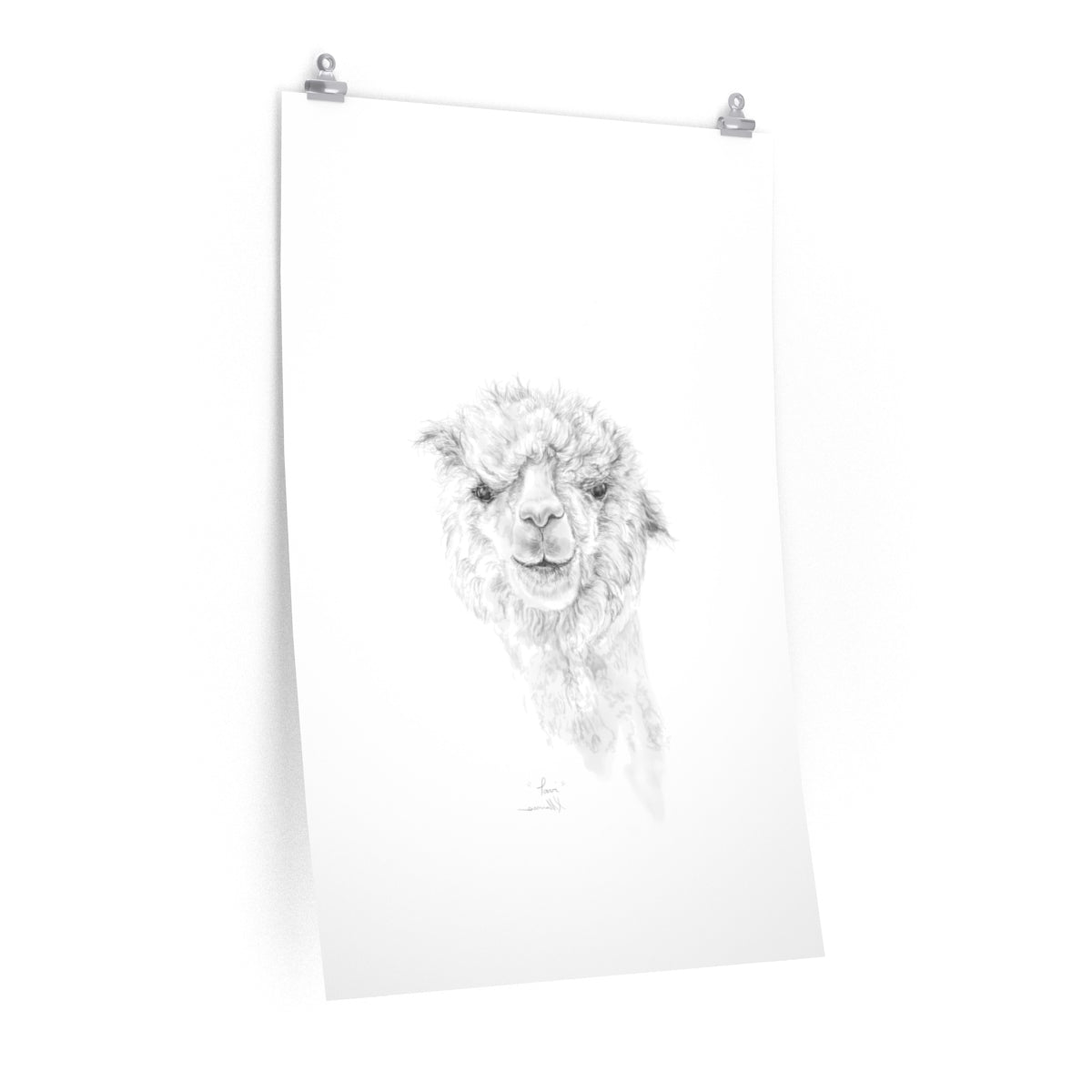TAVI Llama- Art Paper Print