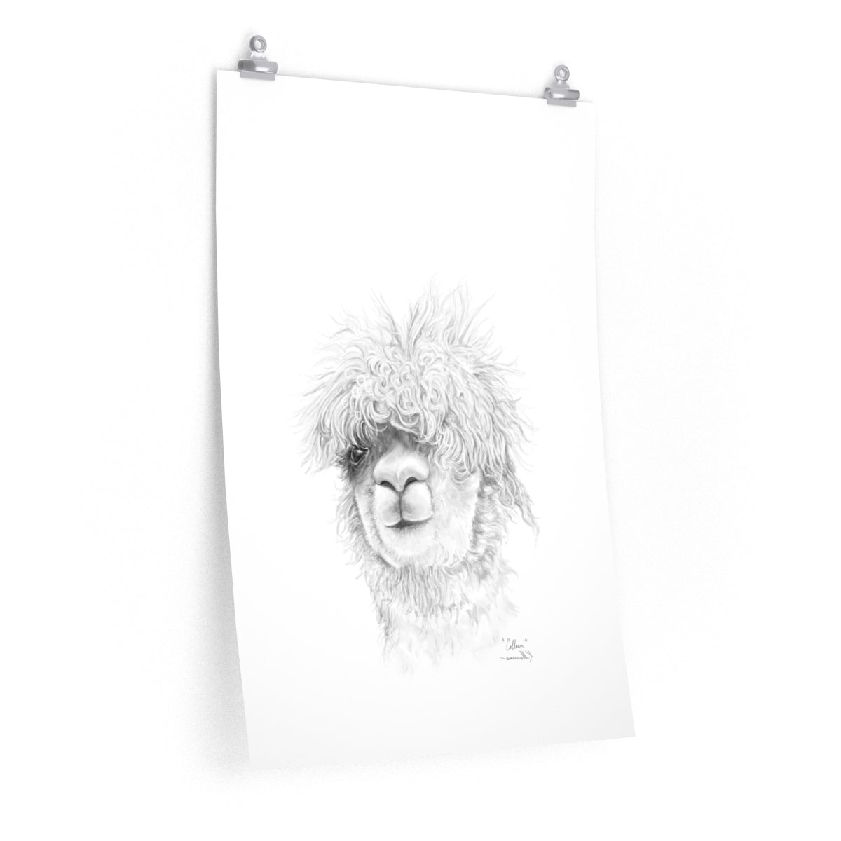 COLLEEN Llama- Art Paper Print