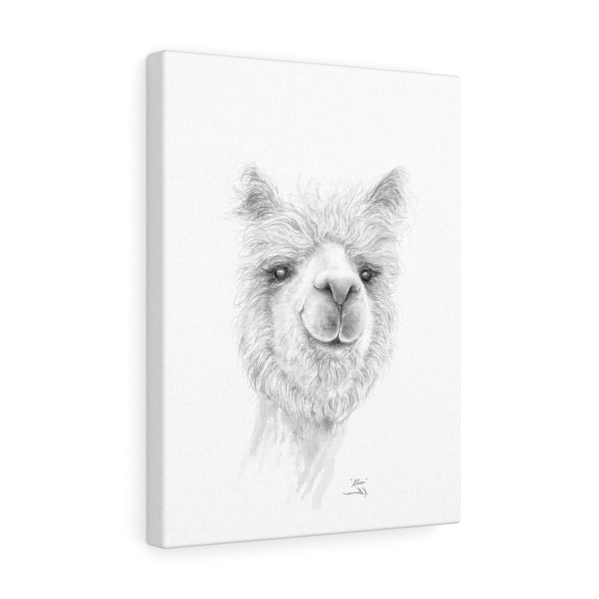 ALLISA Llama - Art Canvas