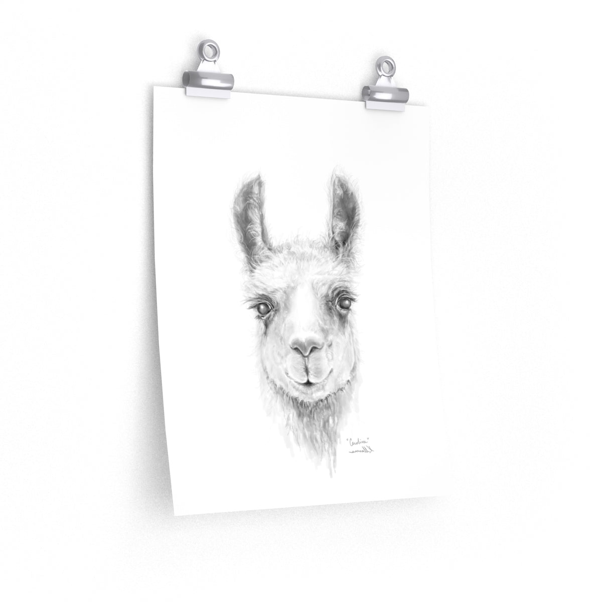 CAROLINE Llama- Art Paper Print