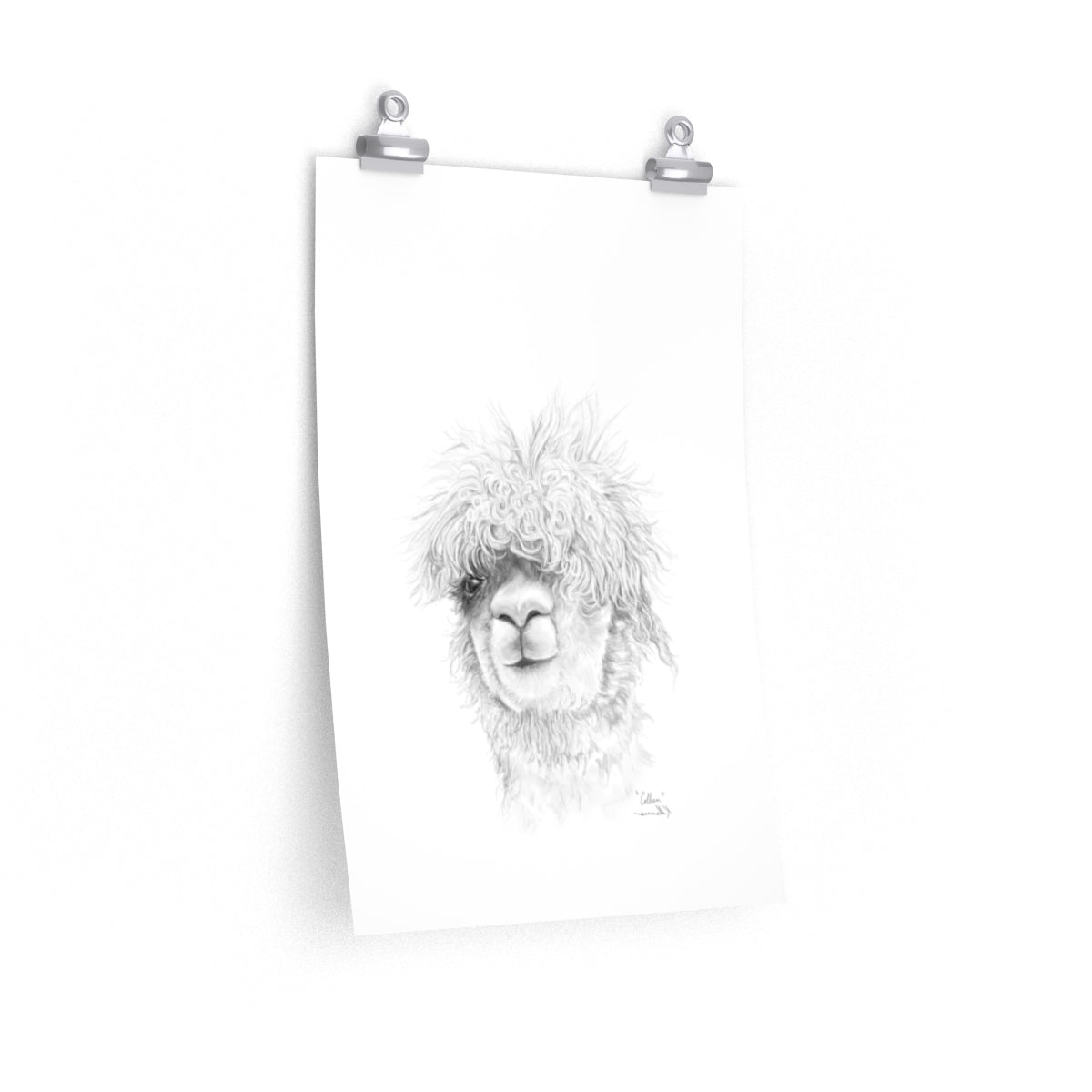 COLLEEN Llama- Art Paper Print