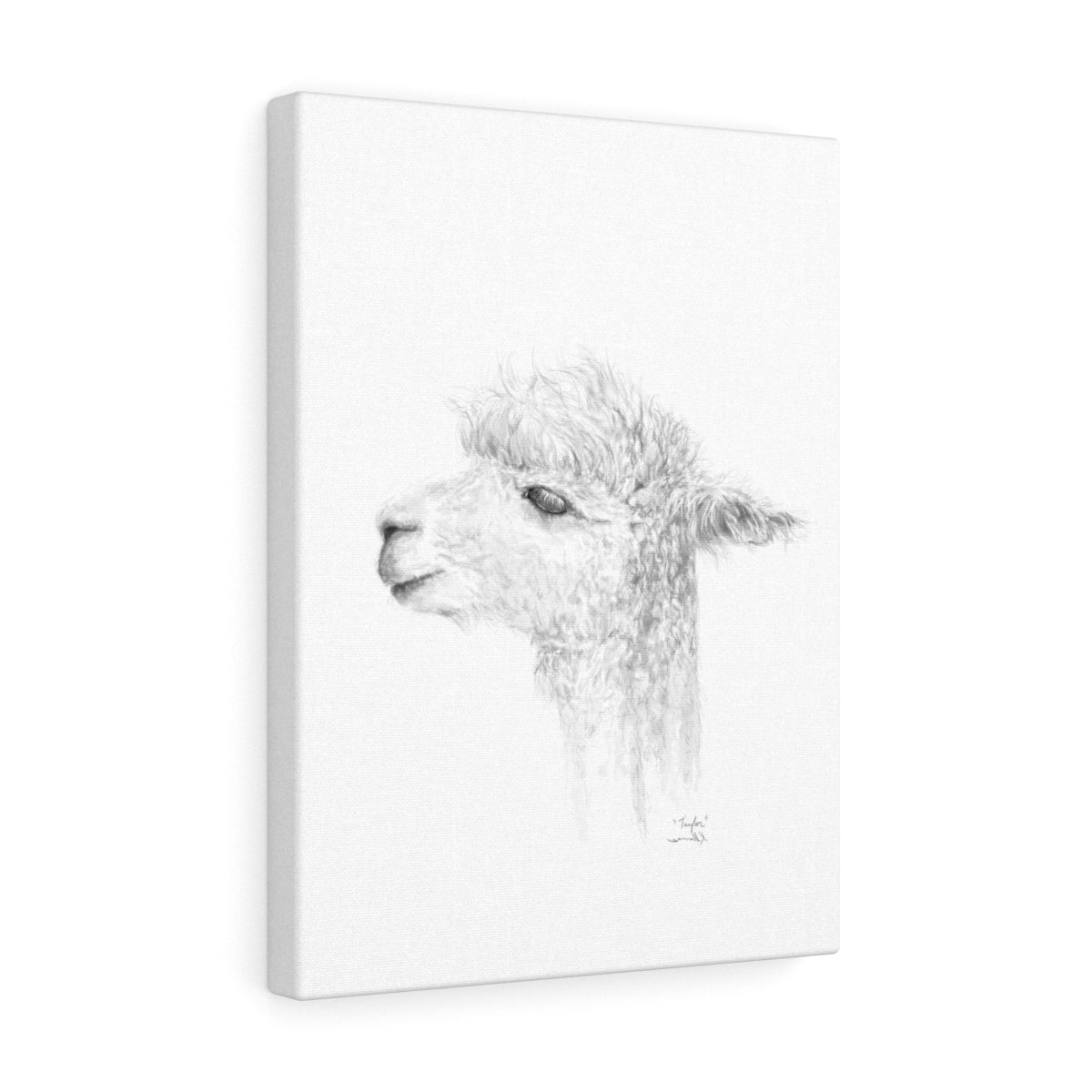 TAYLOR Llama - Art Canvas