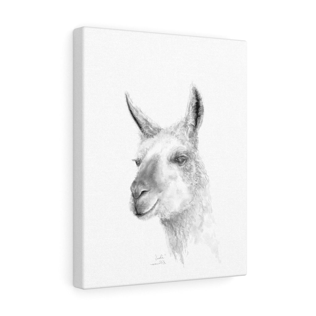 INDI Llama - Art Canvas