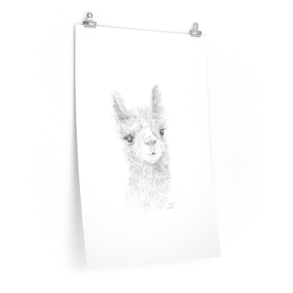 MELODY Llama- Art Paper Print