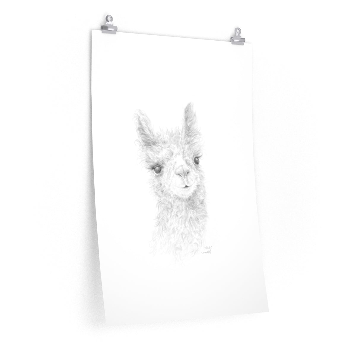 MELODY Llama- Art Paper Print