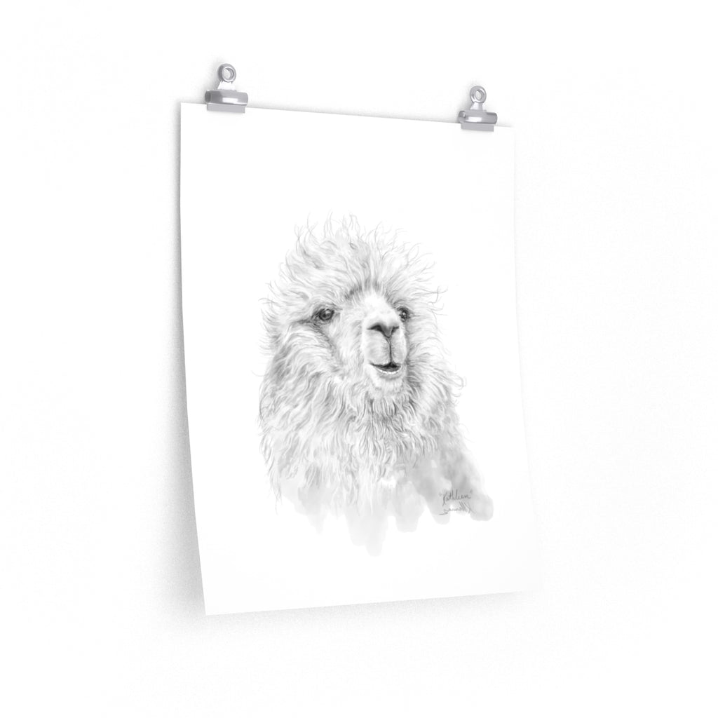 KATHLEEN Llama- Art Paper Print