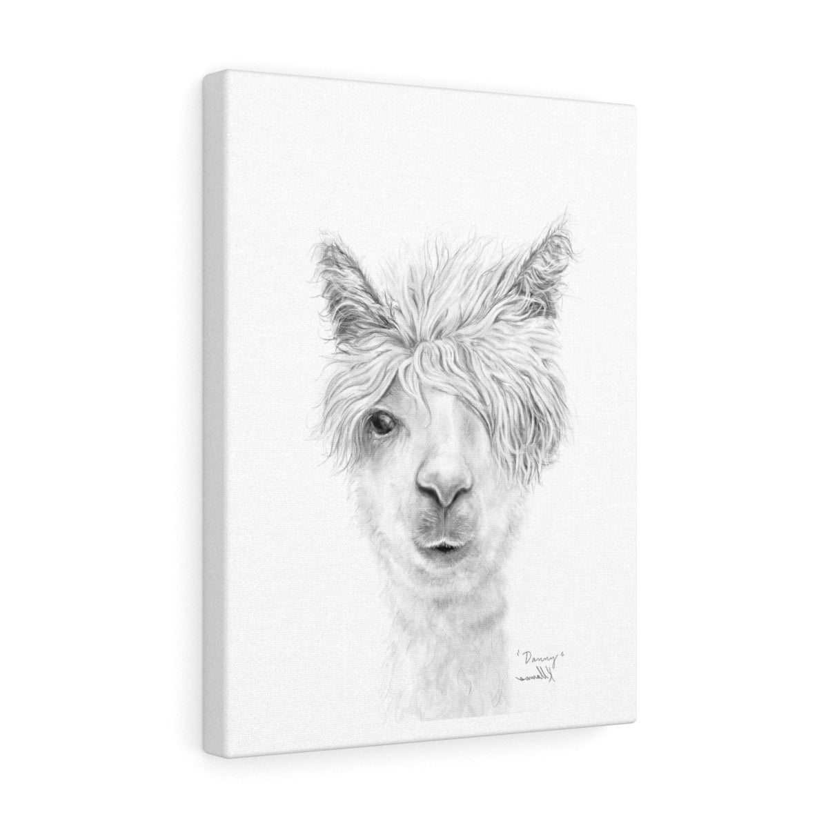 DANNY Llama - Art Canvas