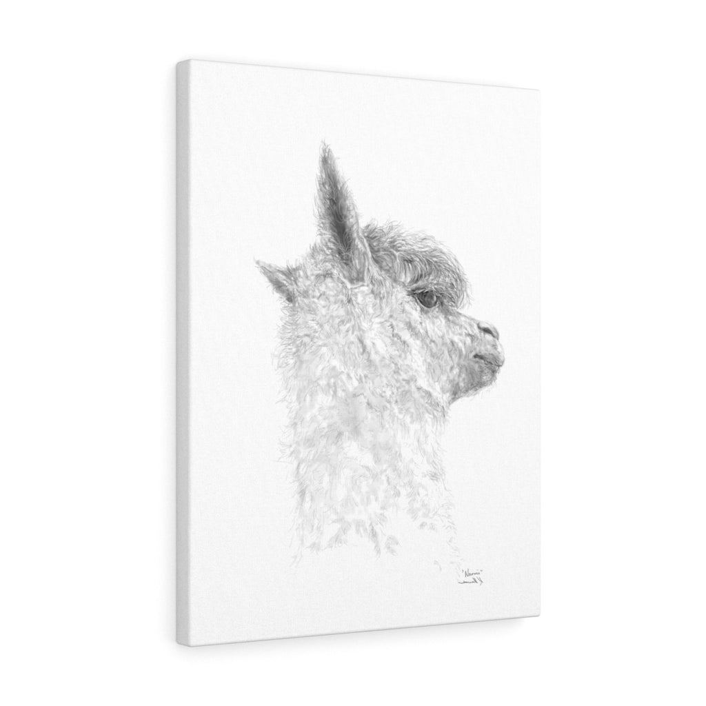 NAOMI Llama - Art Canvas