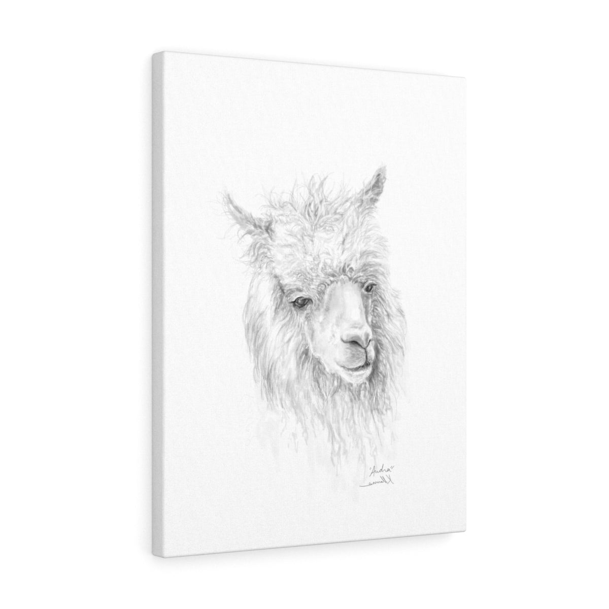 AUDRA Llama - Art Canvas