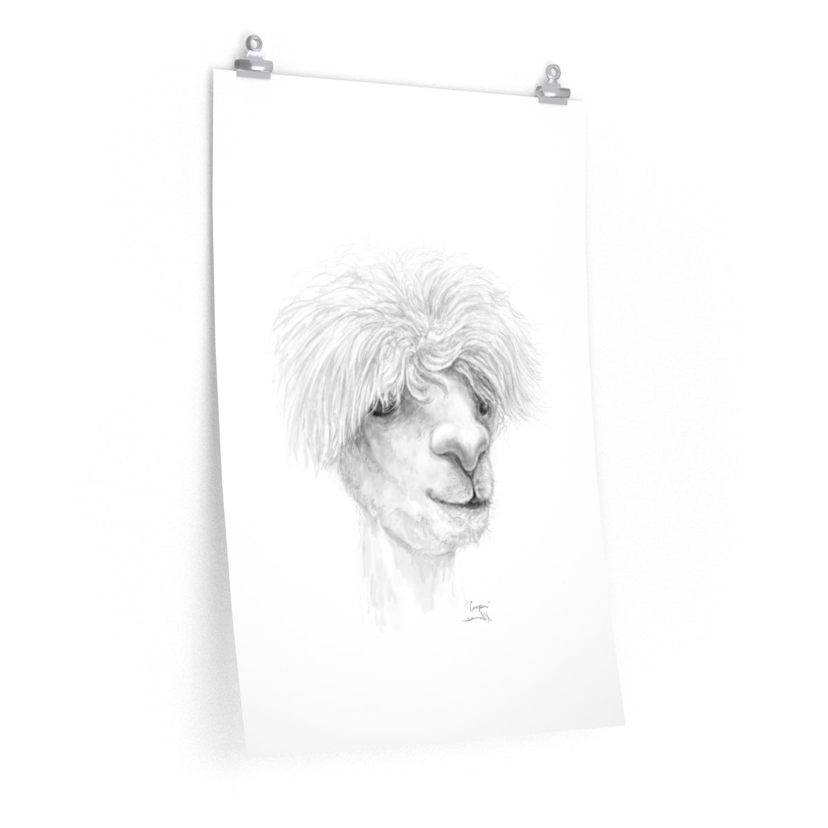 COOPER Llama- Art Paper Print