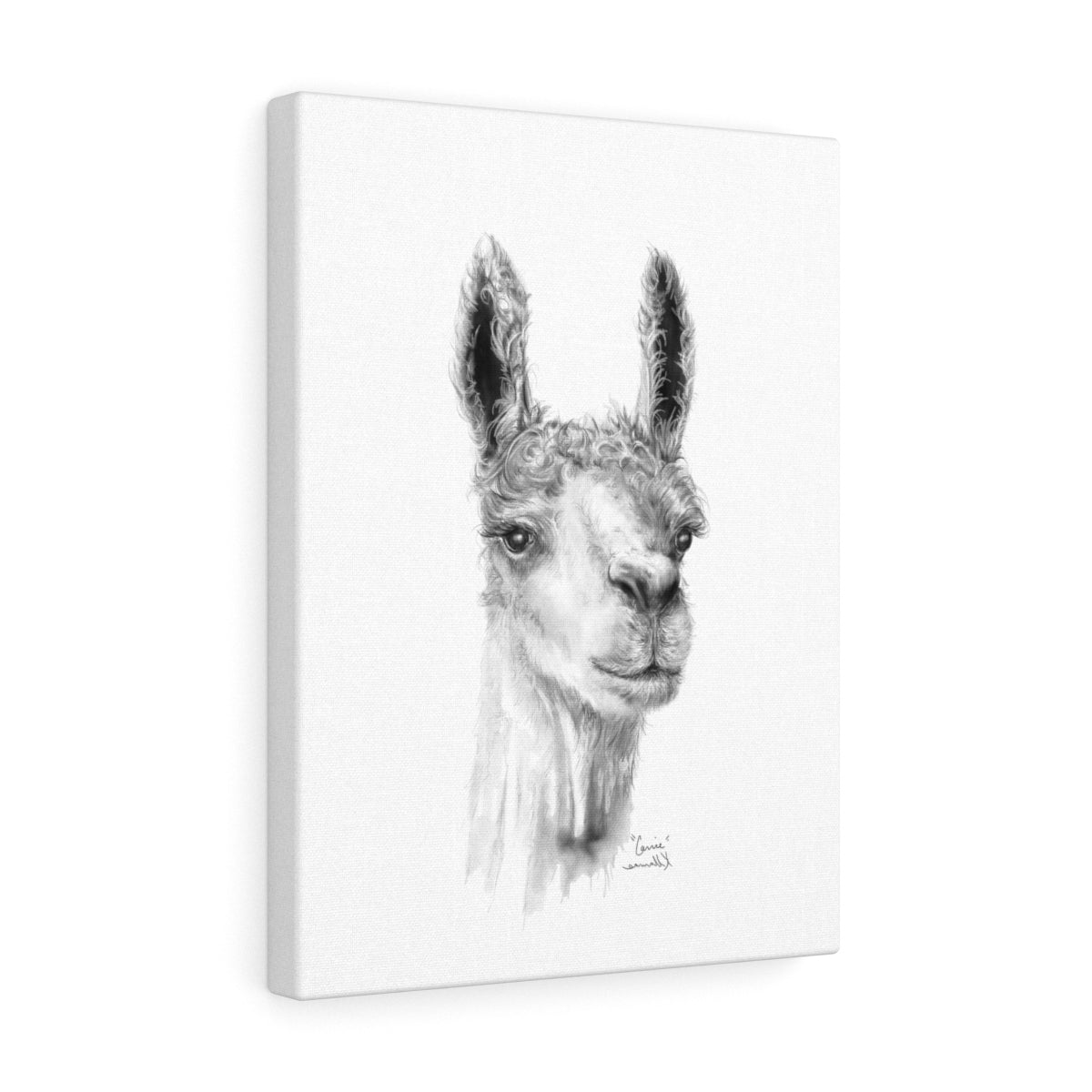 CARRIE Llama - Art Canvas