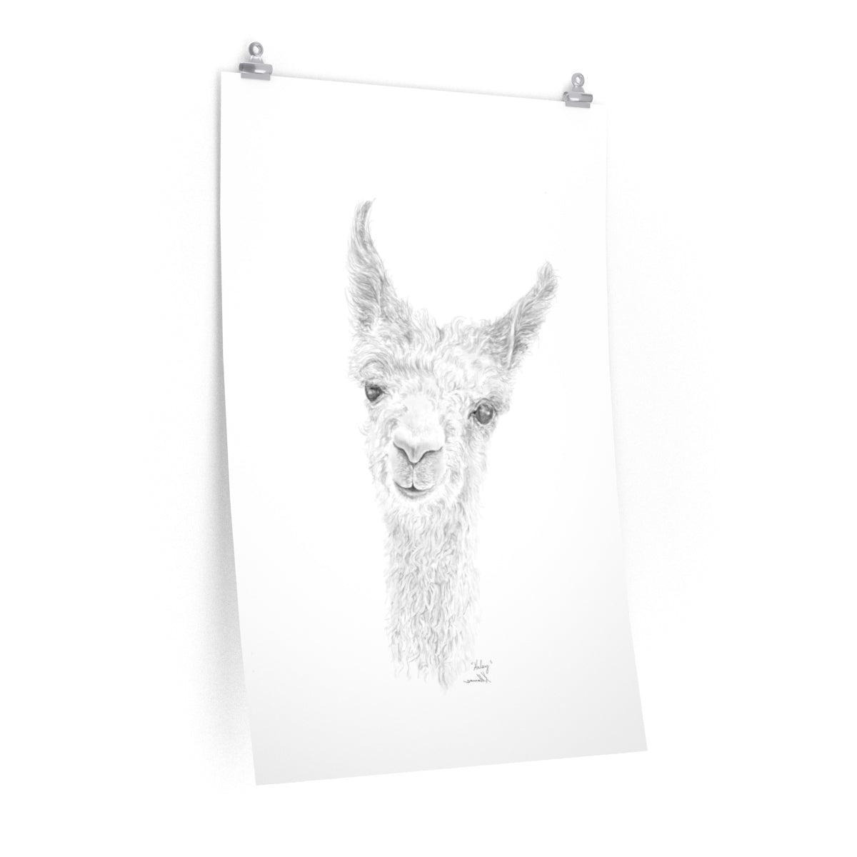 HALEY Llama- Art Paper Print