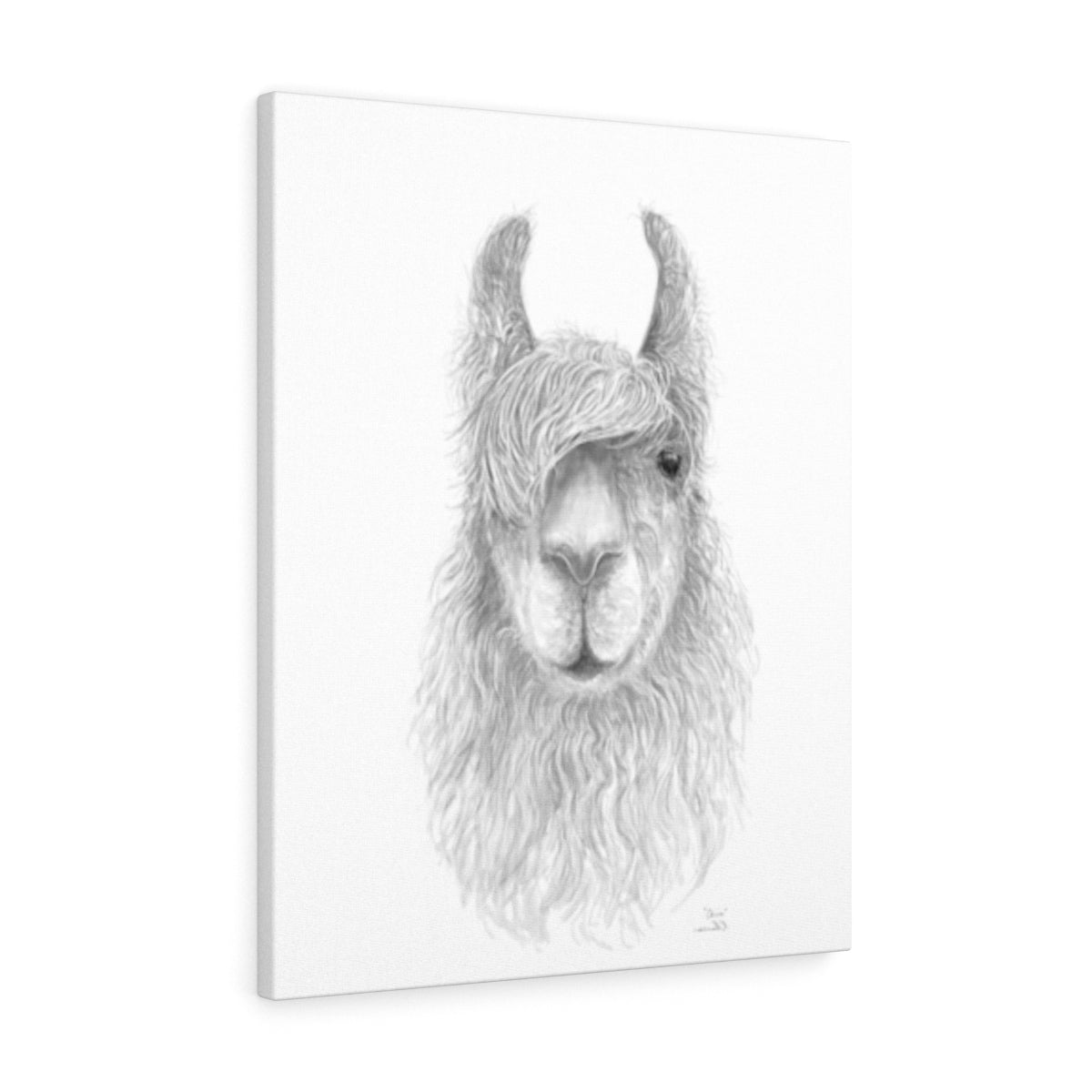 CHRIS Llama - Art Canvas