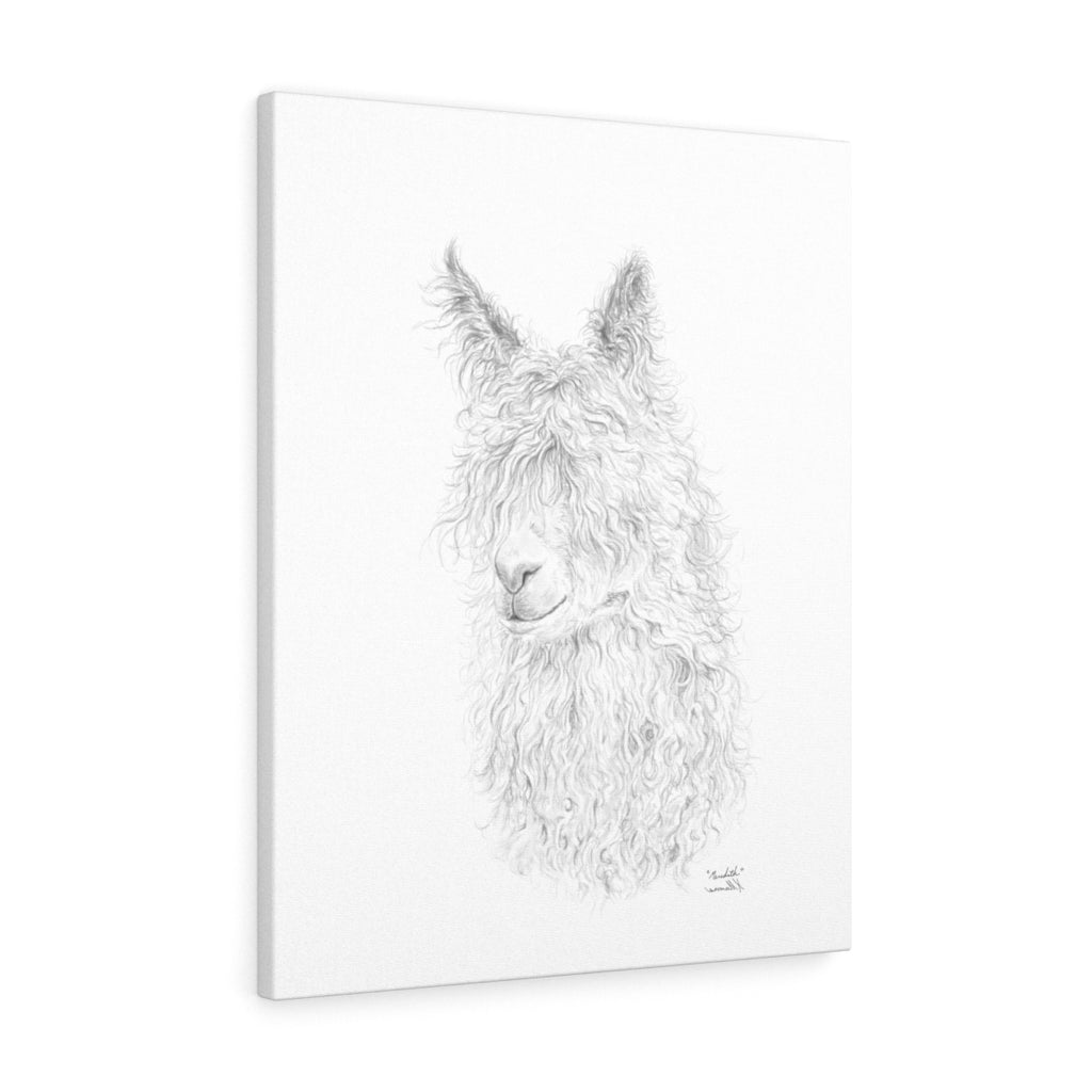 Meredith Llama - Art Canvas