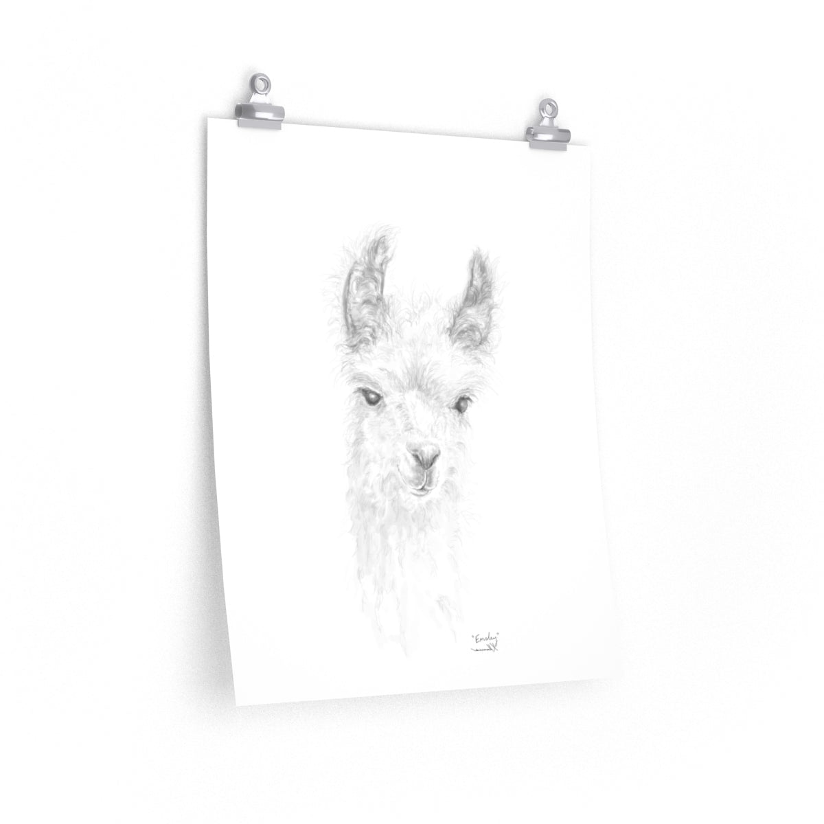 EMSLEY Llama- Art Paper Print