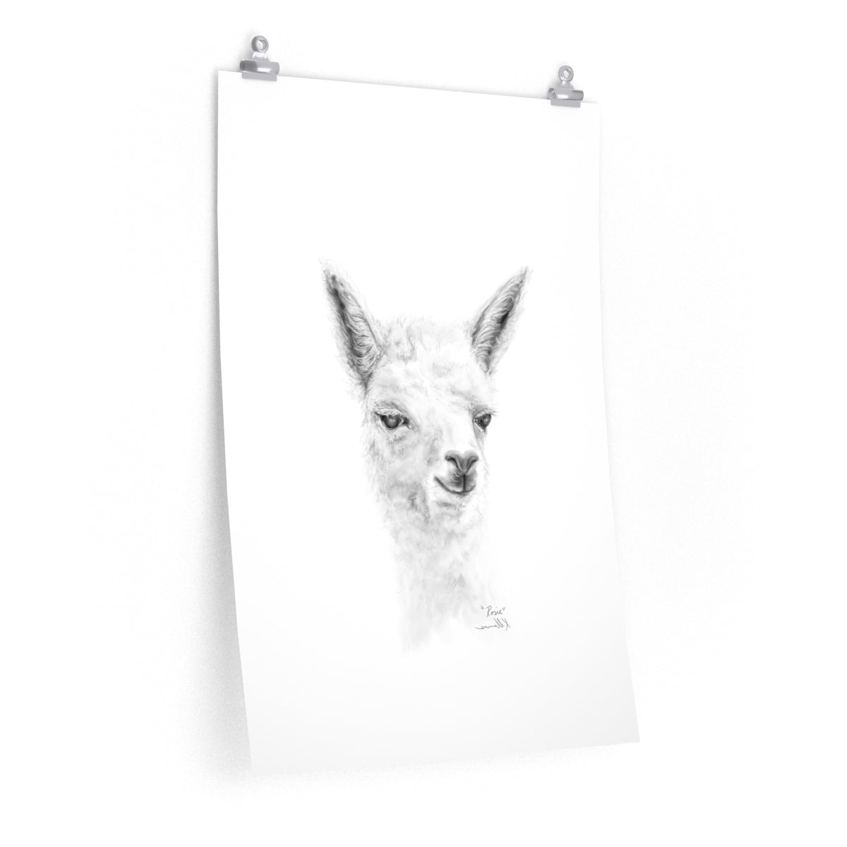 ROSIE Llama- Art Paper Print