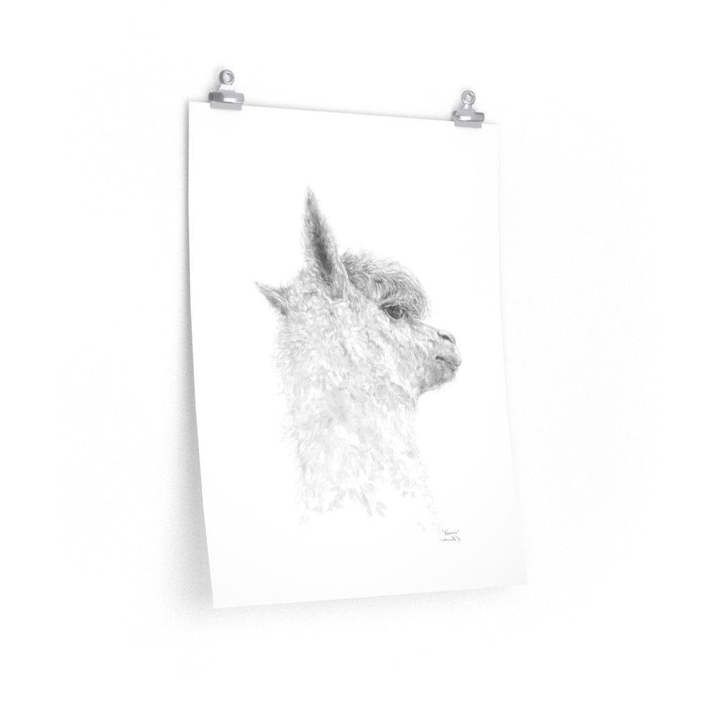 NAOMI Llama- Art Paper Print