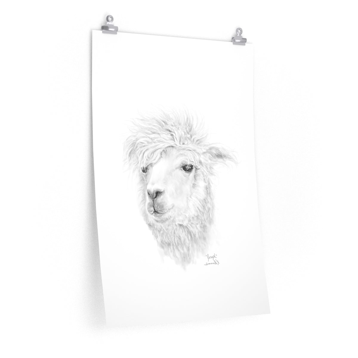 JOSEPH Llama- Art Paper Print
