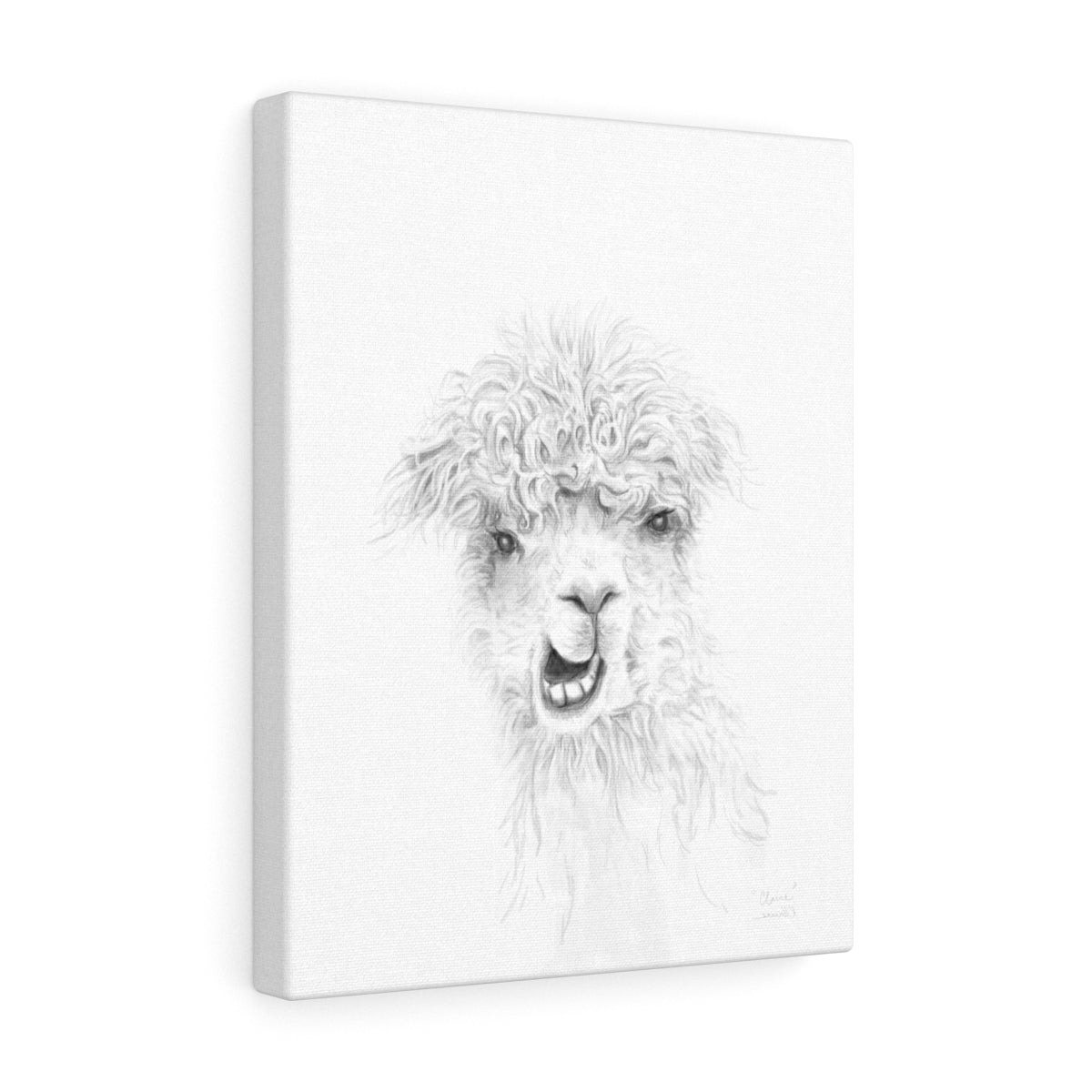 CLAIRE Llama - Art Canvas