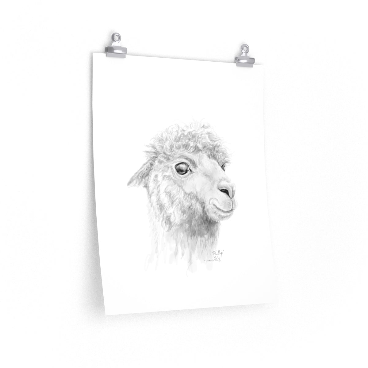 PHILLIP Llama- Art Paper Print