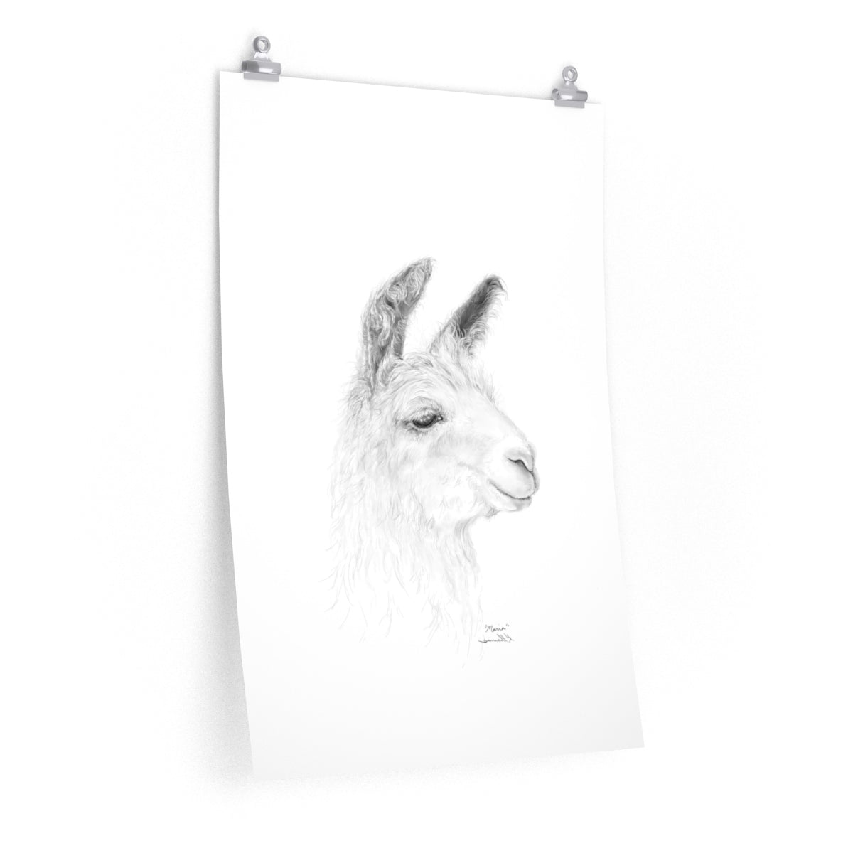 MARIA Llama- Art Paper Print