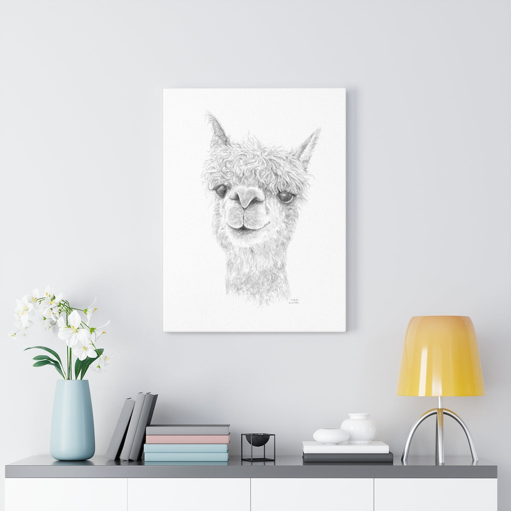 DAKOTA Llama - Art Canvas