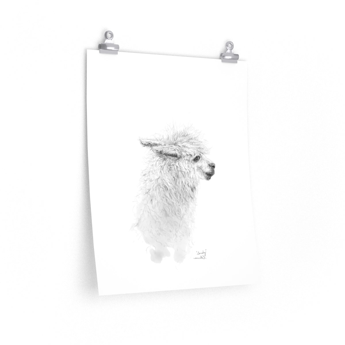 SANDY Llama- Art Paper Print