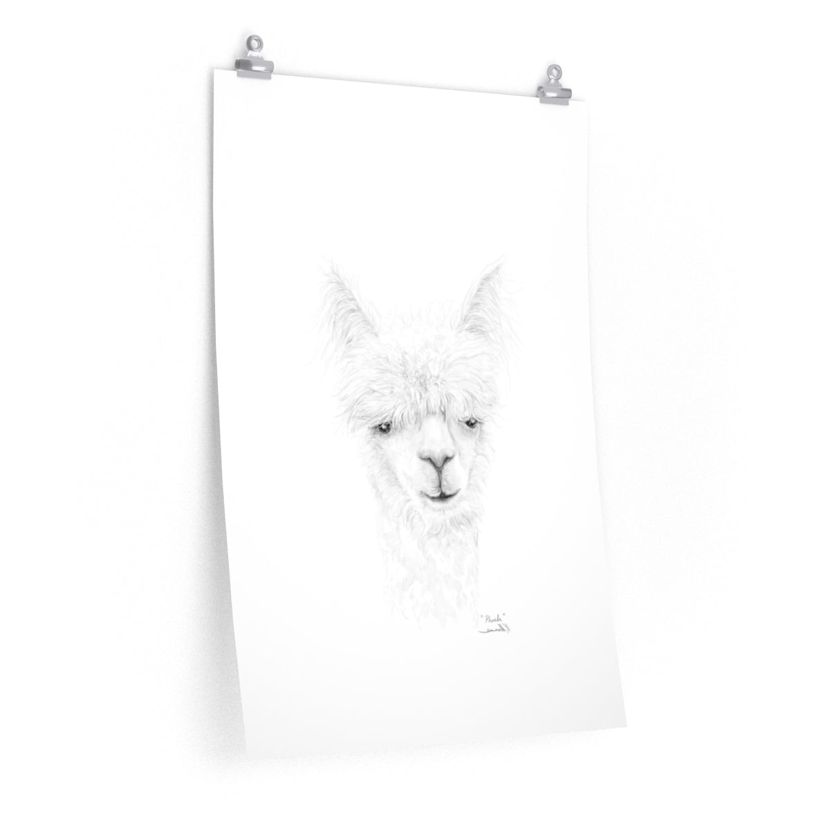 PHOEBE Llama- Art Paper Print