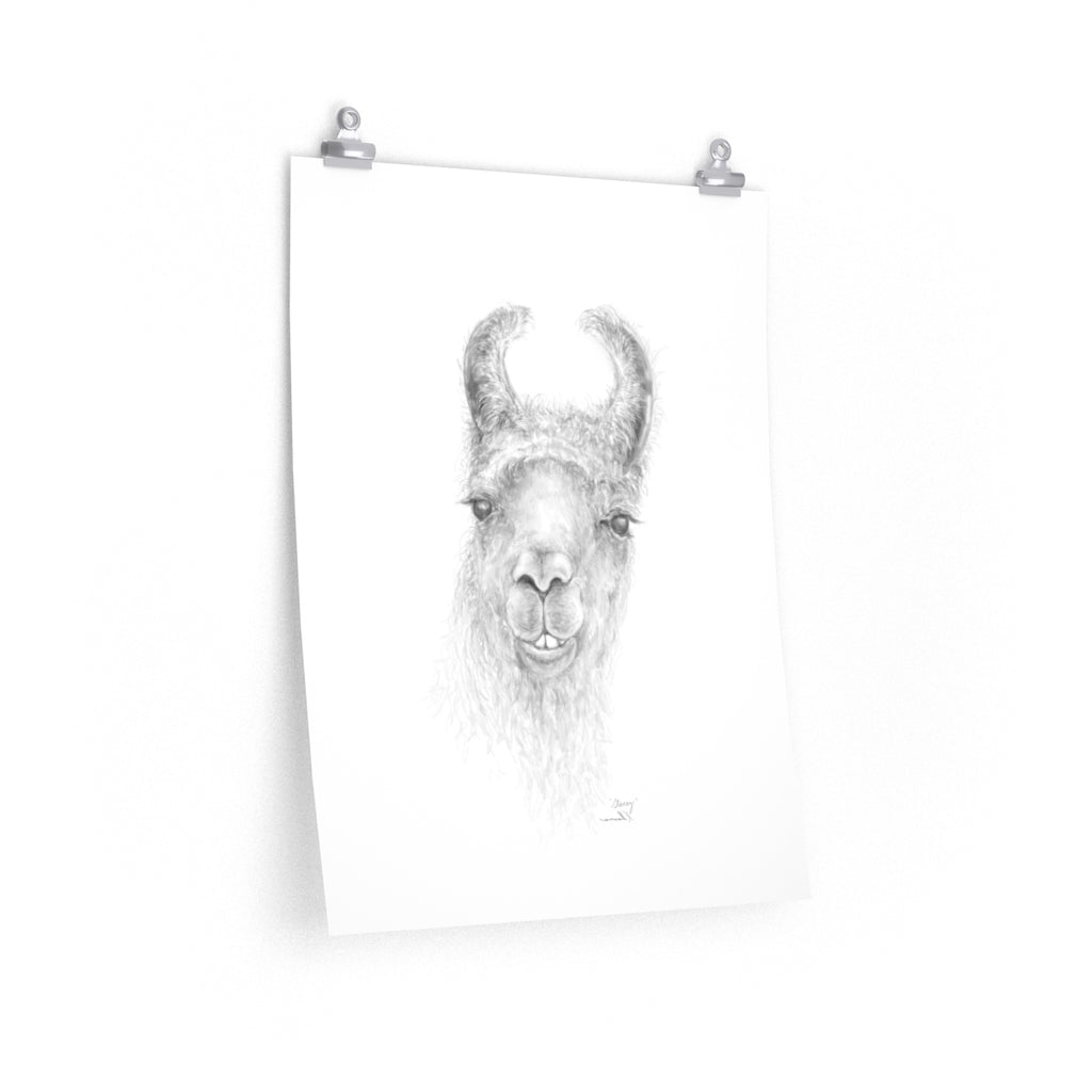 STACEY Llama- Art Paper Print