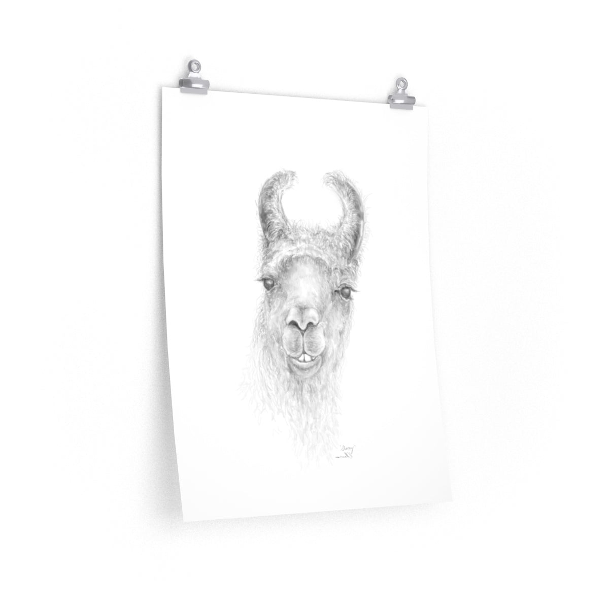 STACEY Llama- Art Paper Print