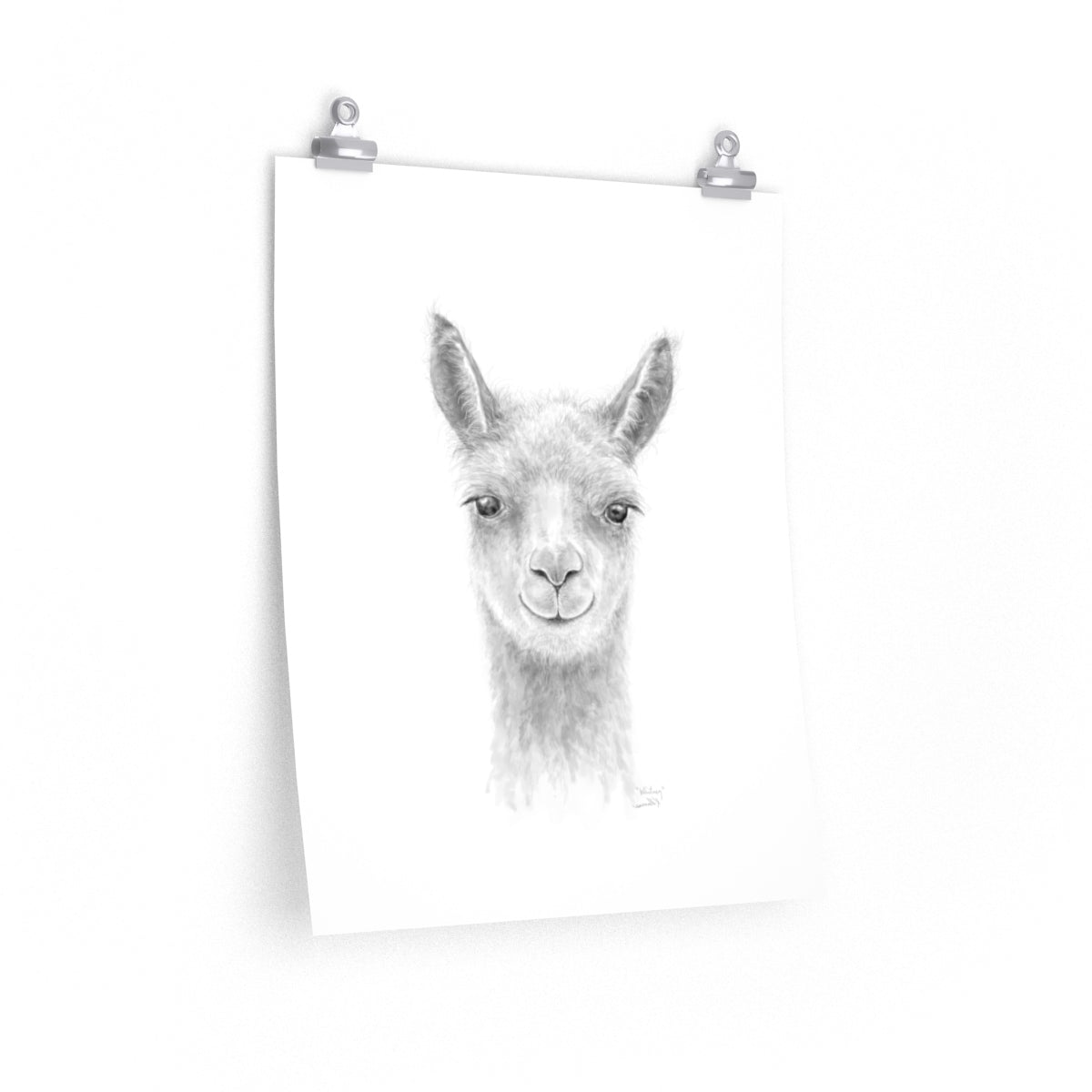 WHITNEY Llama- Art Paper Print