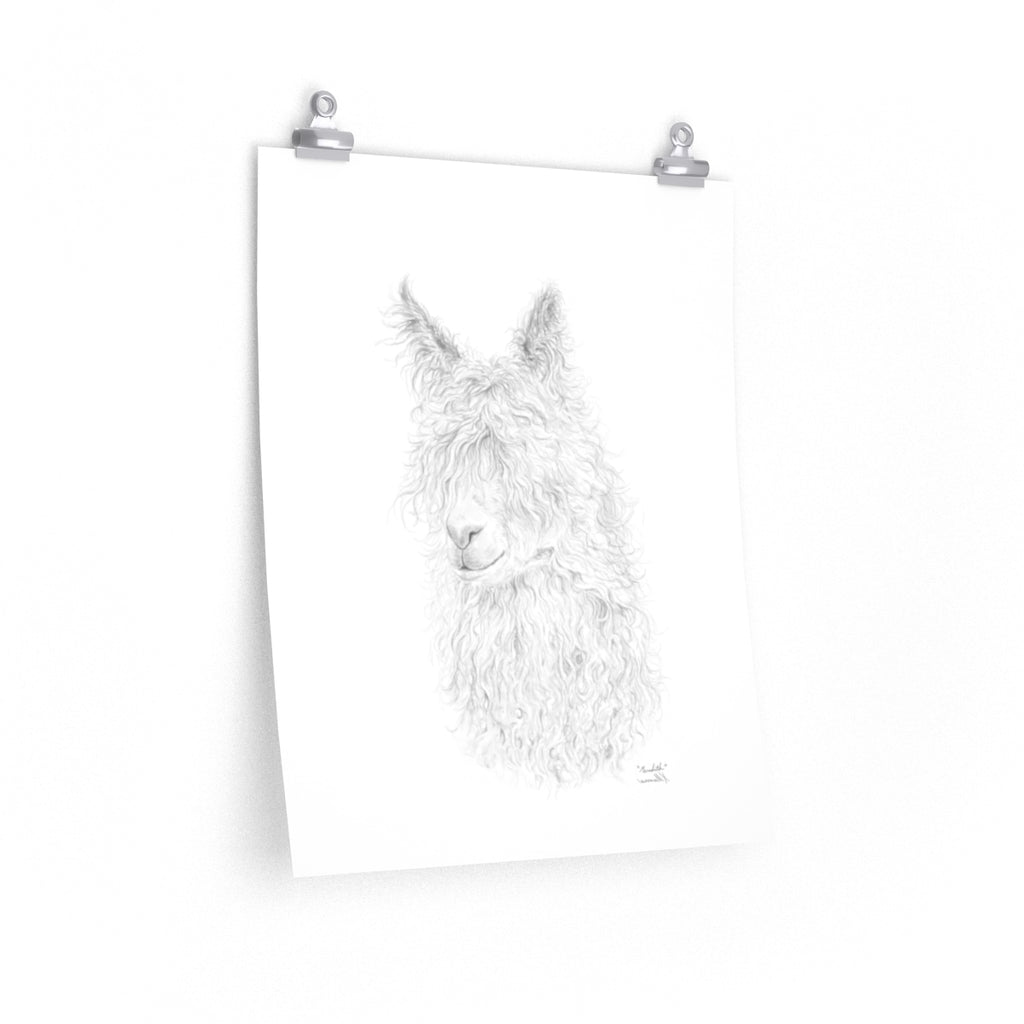 MEREDITH Llama- Art Paper Print