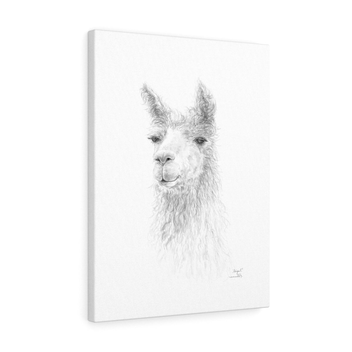 ABIGAIL Llama - Art Canvas