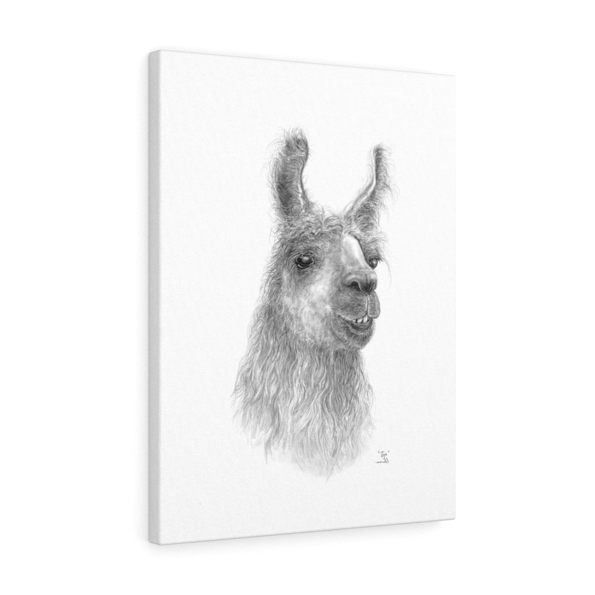 Rojo Llama- Art Canvas