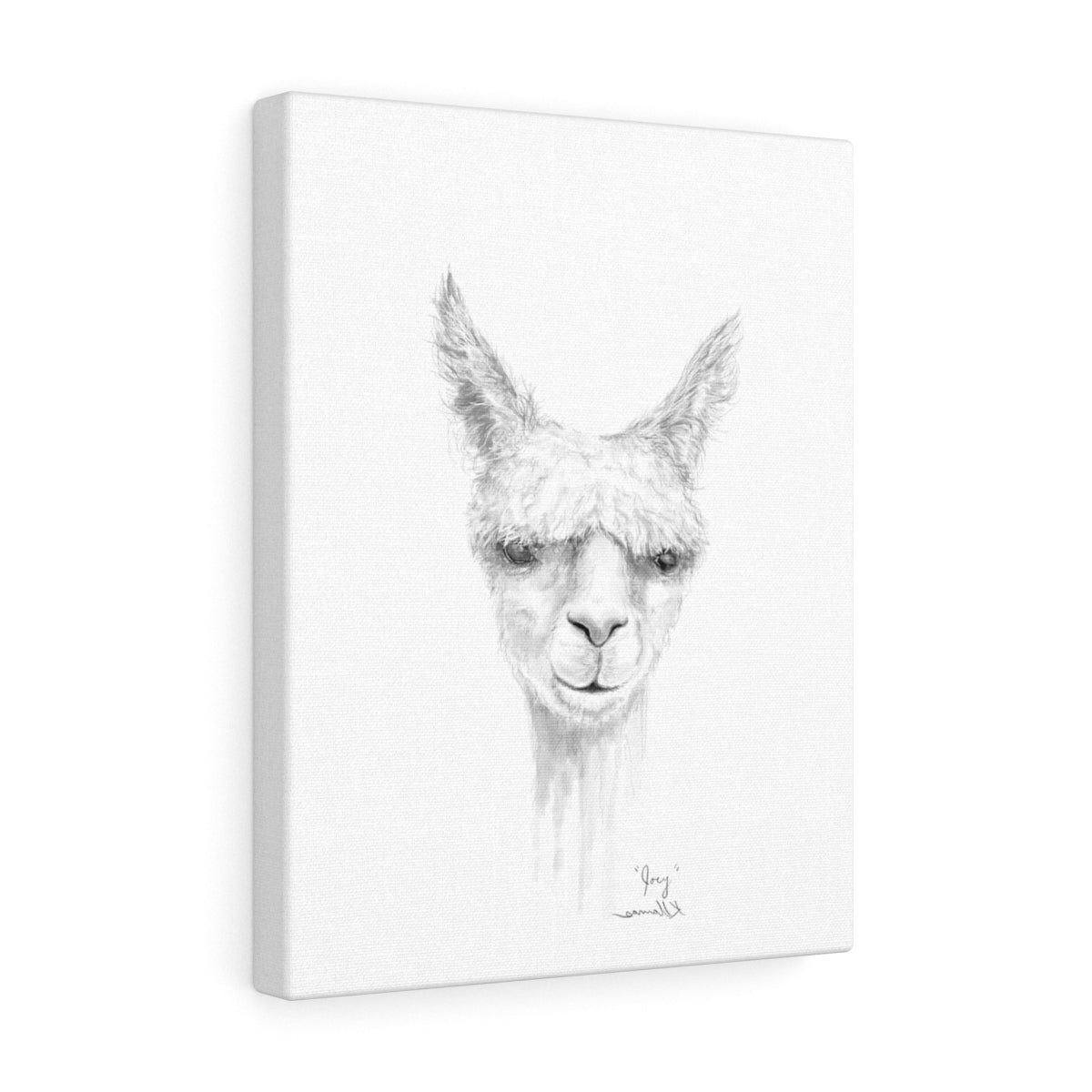 JOEY Llama - Art Canvas
