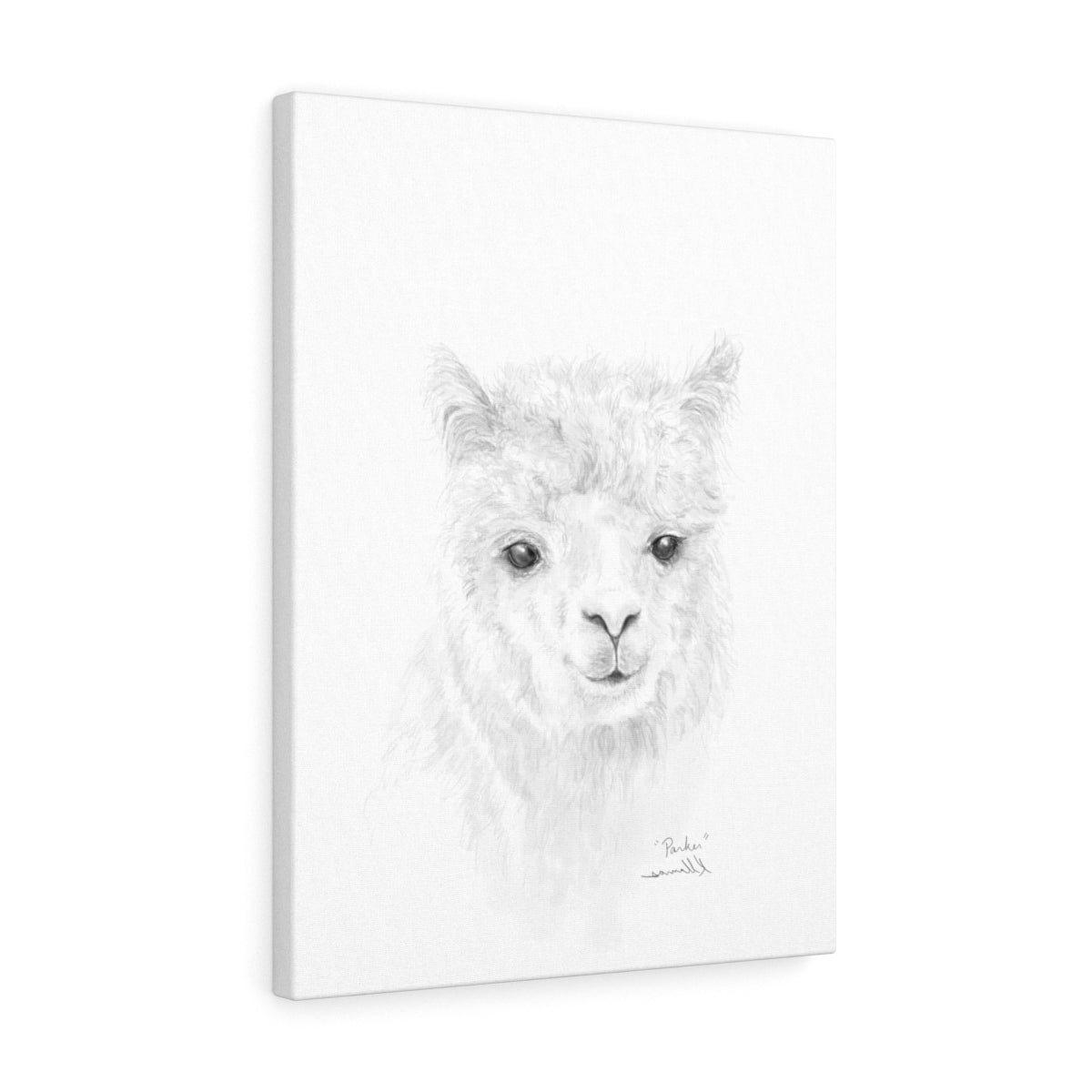 PARKER Llama - Art Canvas