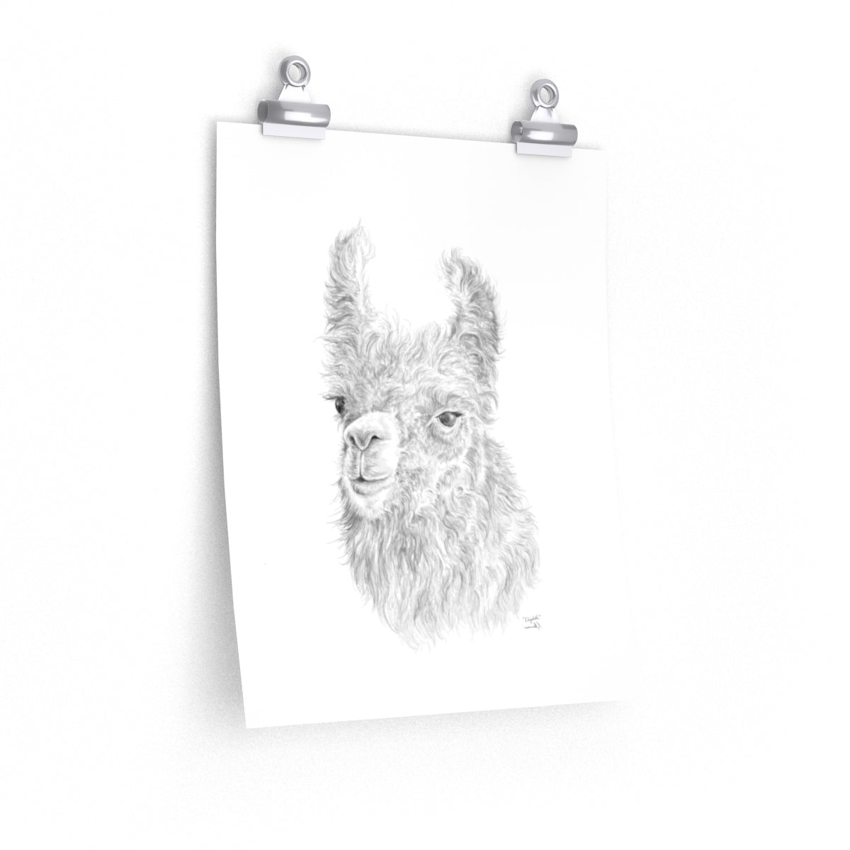 Elizabeth Llama- Art Paper Print