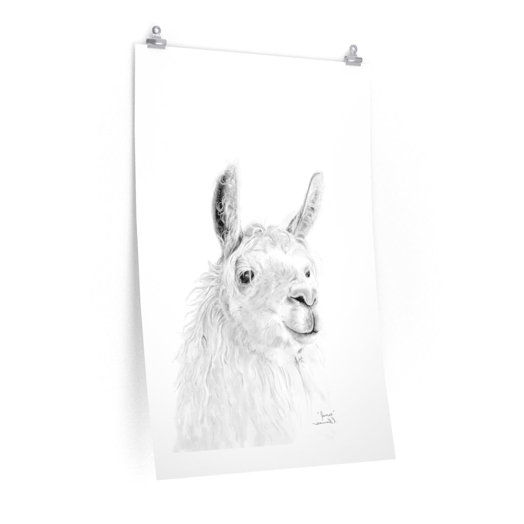 JAMES Llama- Art Paper Print
