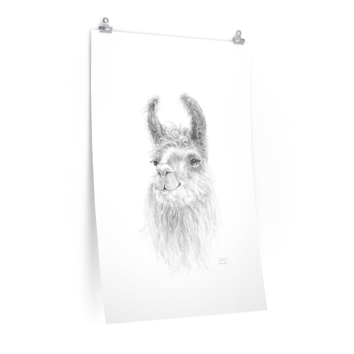 ADELAIDE Llama- Art Paper Print