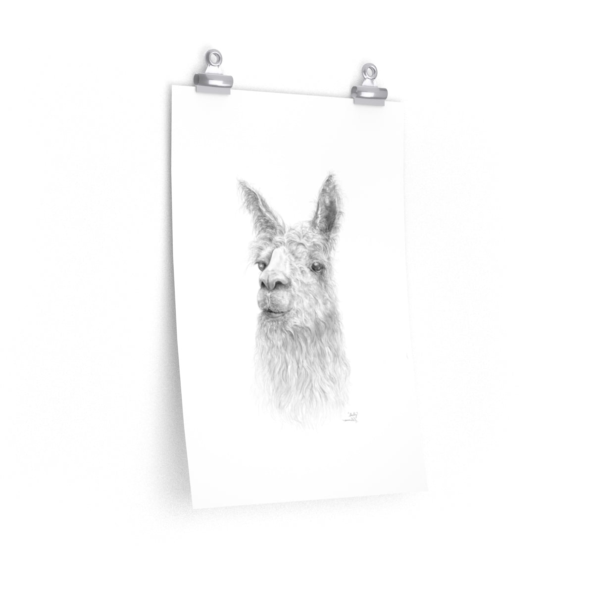 SHELLY Llama- Art Paper Print
