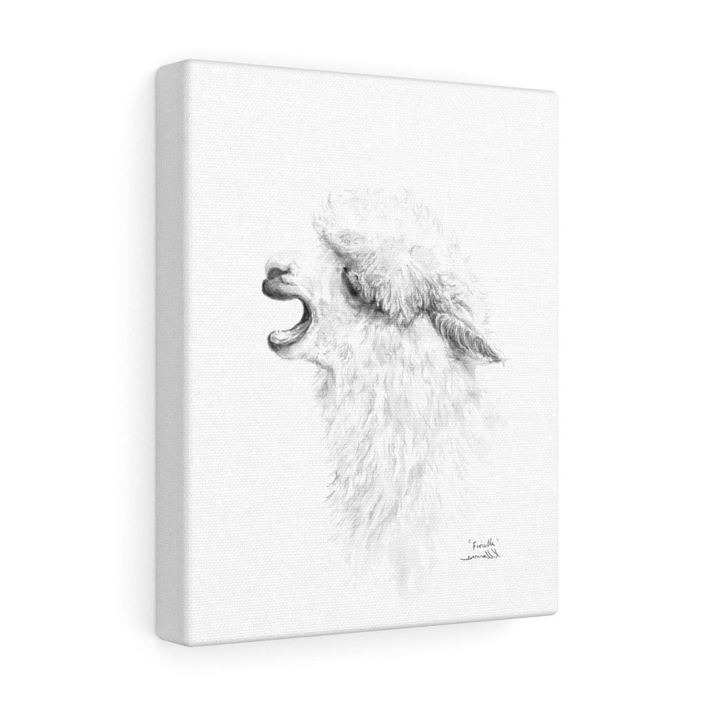 FIORELLA Llama - Art Canvas