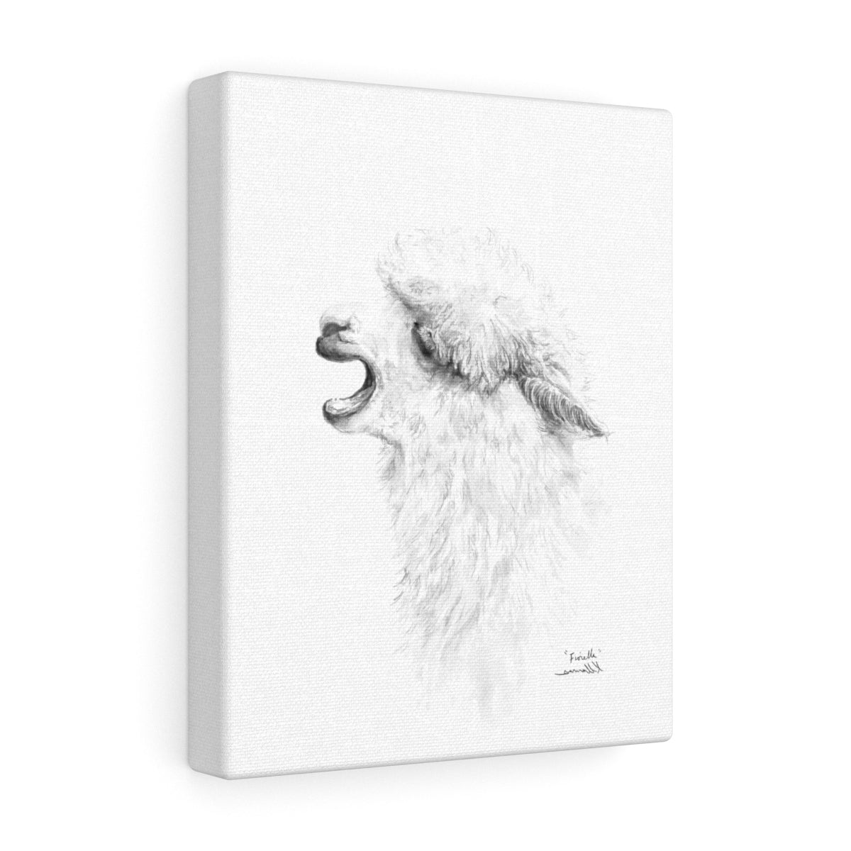 FIORELLA Llama - Art Canvas