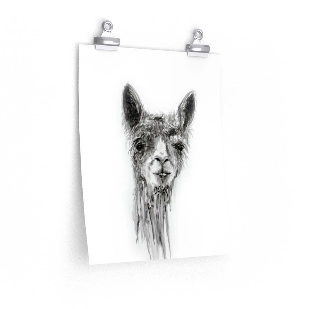 BILLY Llama- Art Paper Print