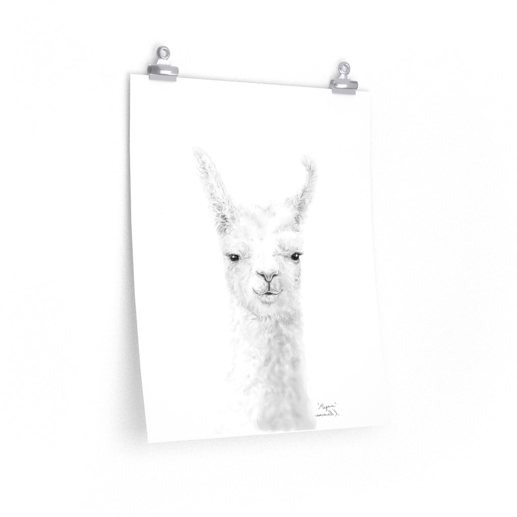 MEGAN Llama- Art Paper Print
