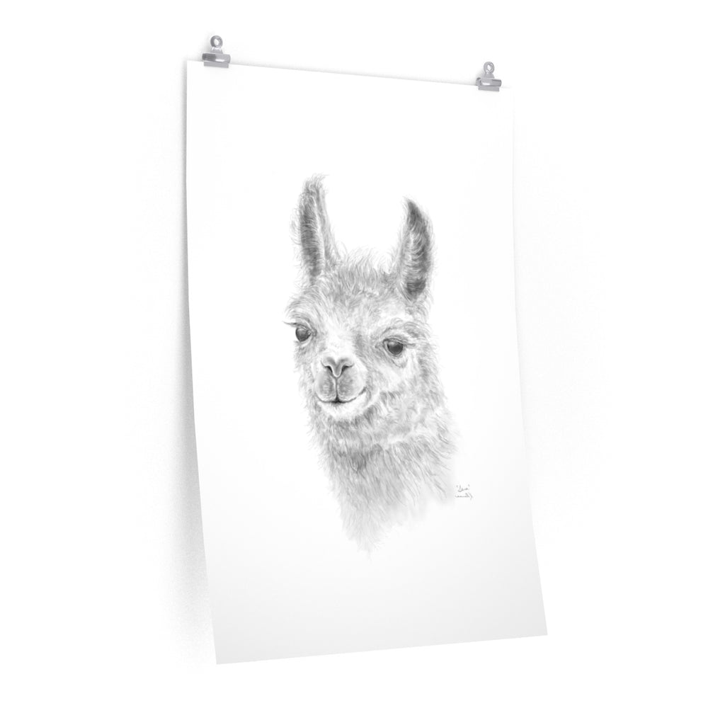 SARA Llama- Art Paper Print