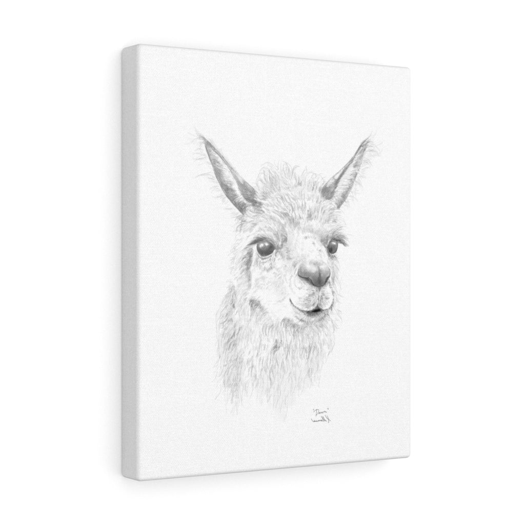 Dawn Llama - Art Canvas